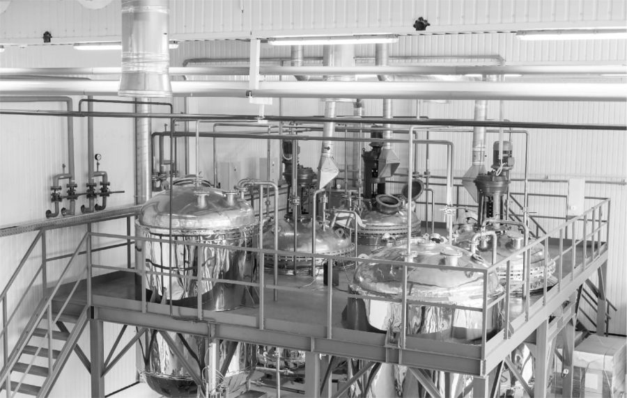 Alkyd and Polyester Resin Plant